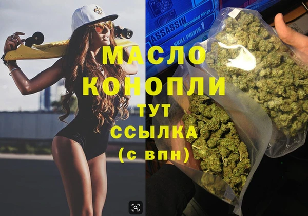 индика Алексин