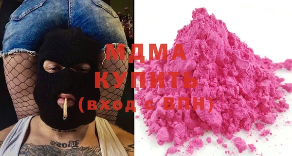 индика Алексин