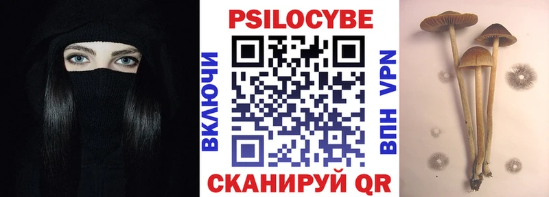 закладки  Абакан  Псилоцибиновые грибы GOLDEN TEACHER 